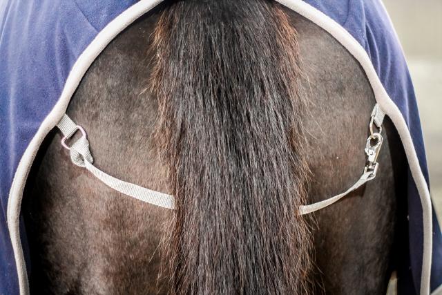 Попона флисовая FAVORITE HORSE Aristocratic (темно-синяя)